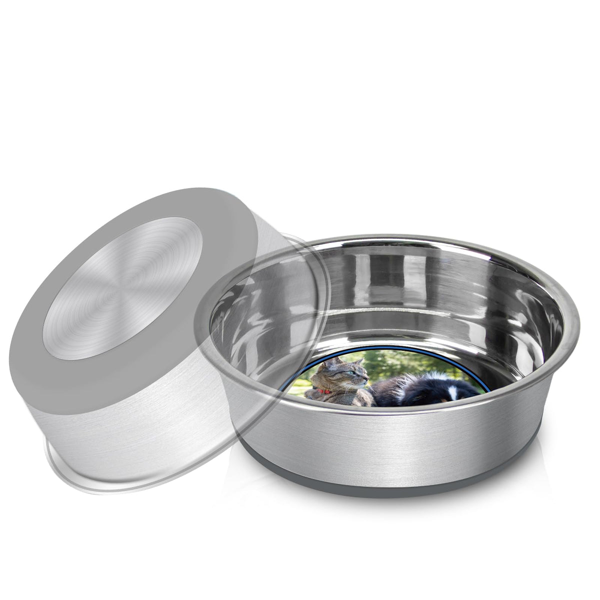 Anti-Slip Stainless Steel Pet Bowl with Foot Mat