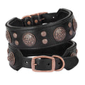 Genuine Leather Studded Dog Collar