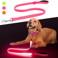 LED Rechargeable Dog Leash