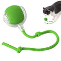 Interactive Rolling Cat Toy Ball